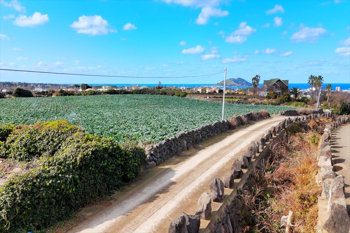 관광지이미지 14