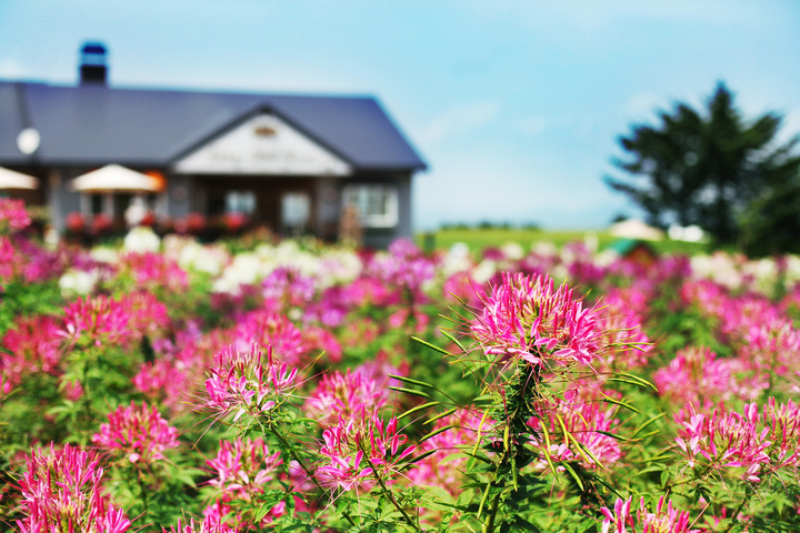 관광지이미지 9