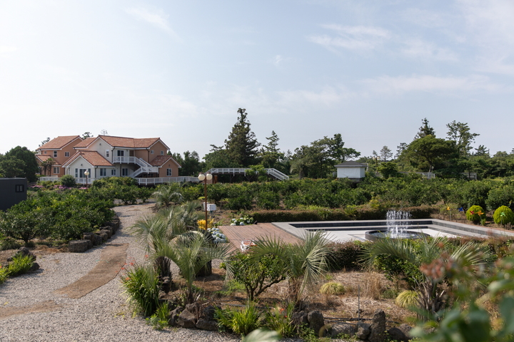 관광지이미지 12