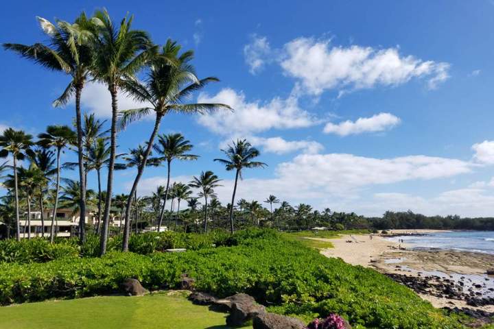 관광지이미지 14