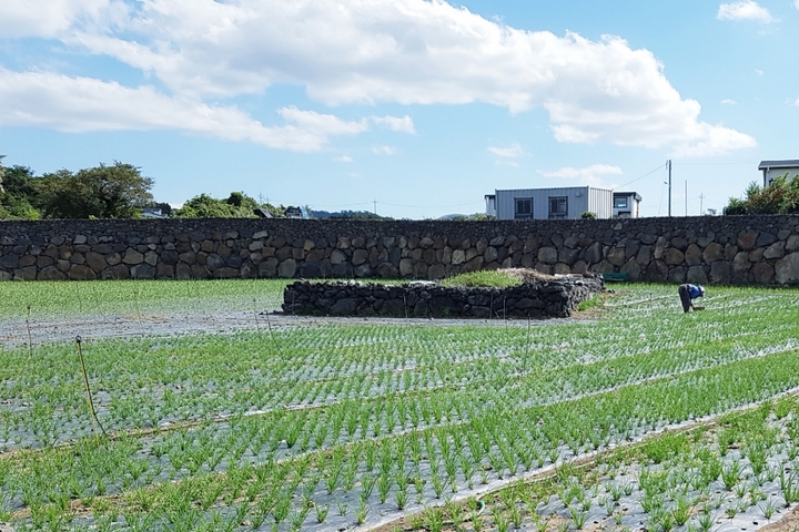 관광지이미지 12