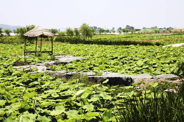 관광지이미지 9