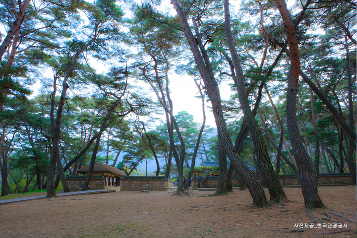 관광지이미지 5