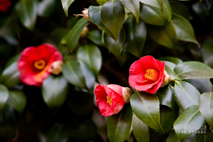 관광지이미지 2