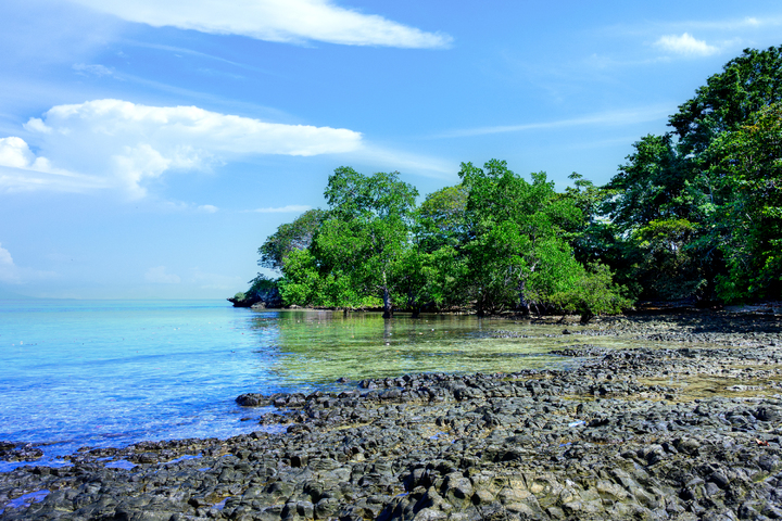 관광지이미지 30