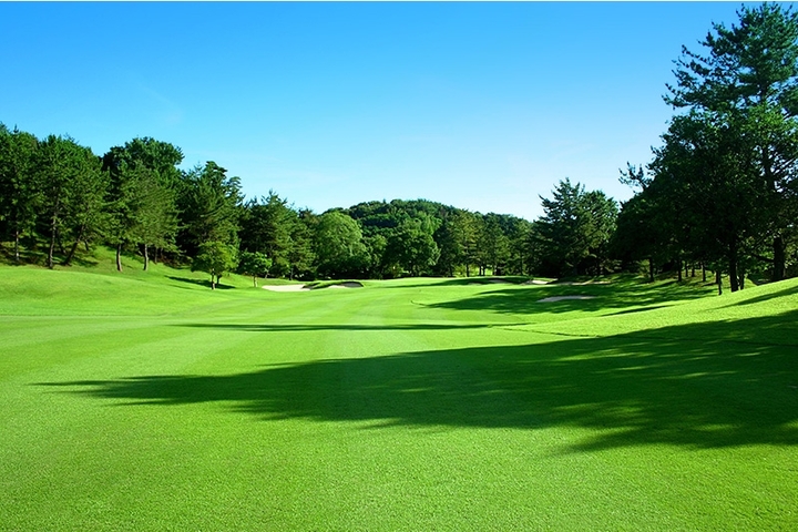 관광지이미지 12