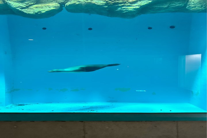 관광지이미지 9