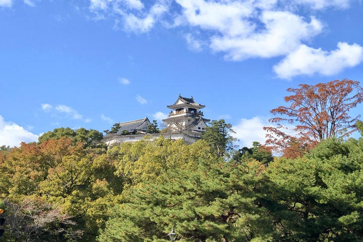 관광지이미지 12
