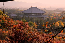 동대사