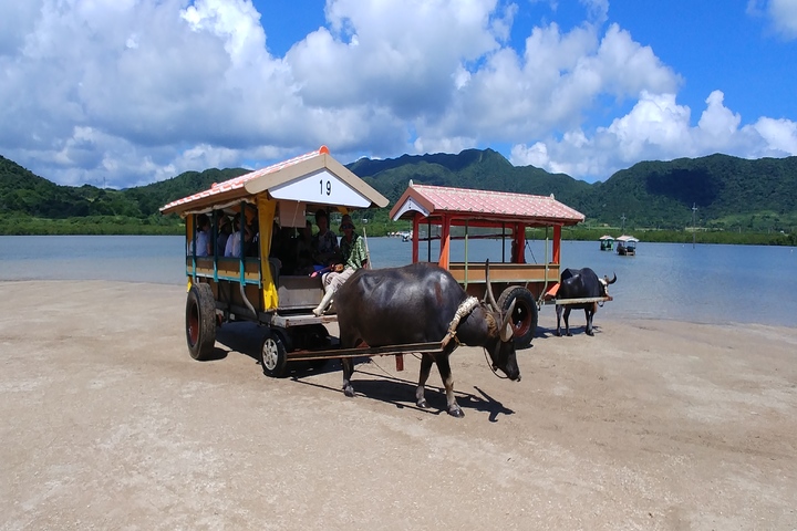 관광지이미지 9