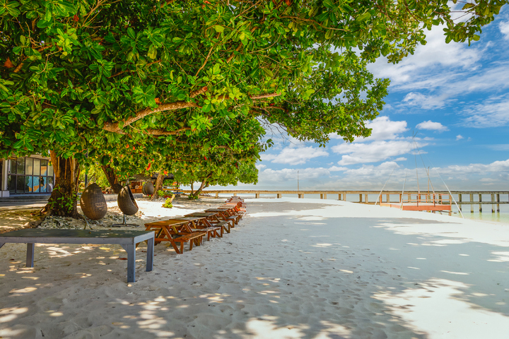 관광지이미지 21