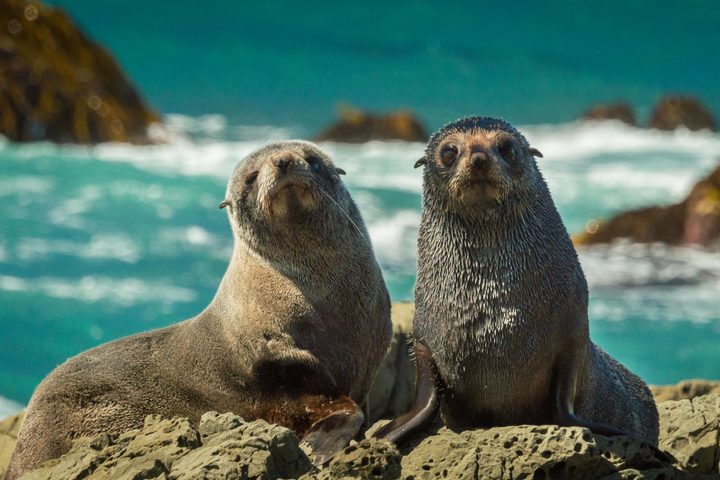 관광지이미지 15