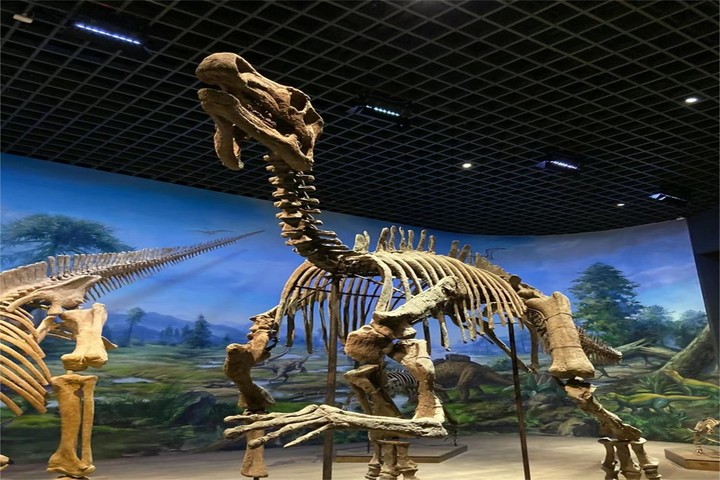 관광지이미지 12