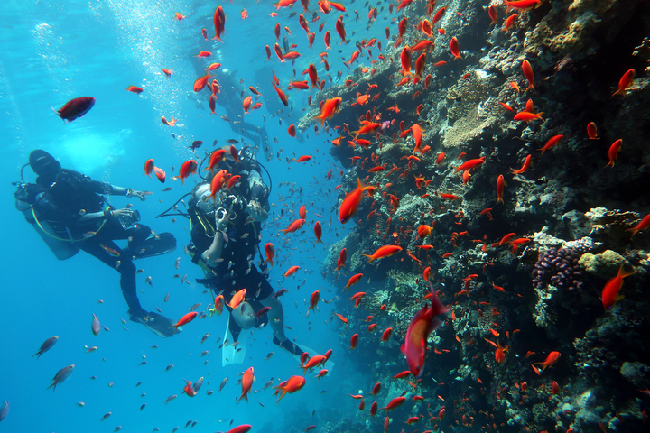 관광지이미지 28