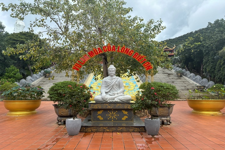 관광지이미지 12