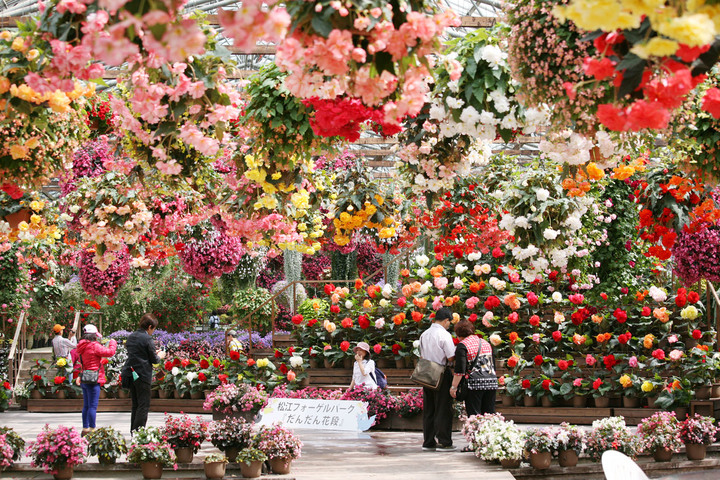 관광지이미지 8