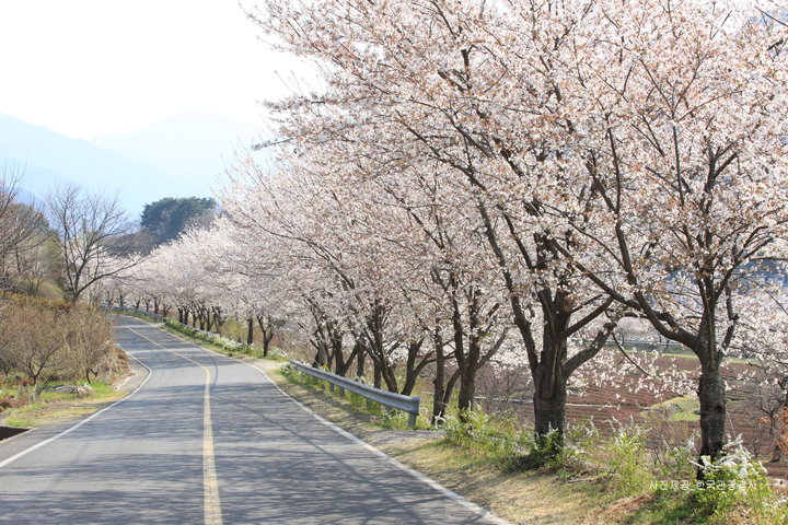 관광지이미지 1