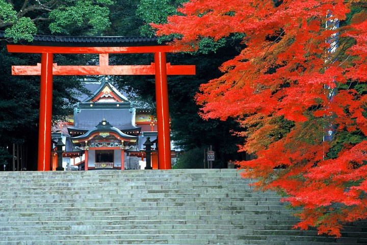 관광지이미지 5