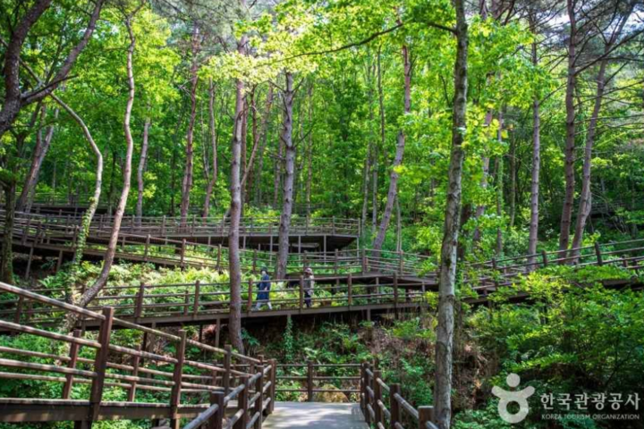 관광지이미지 7