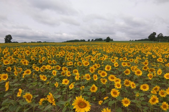 관광지이미지 15