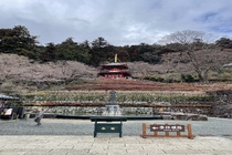 카츠오지(승미사)