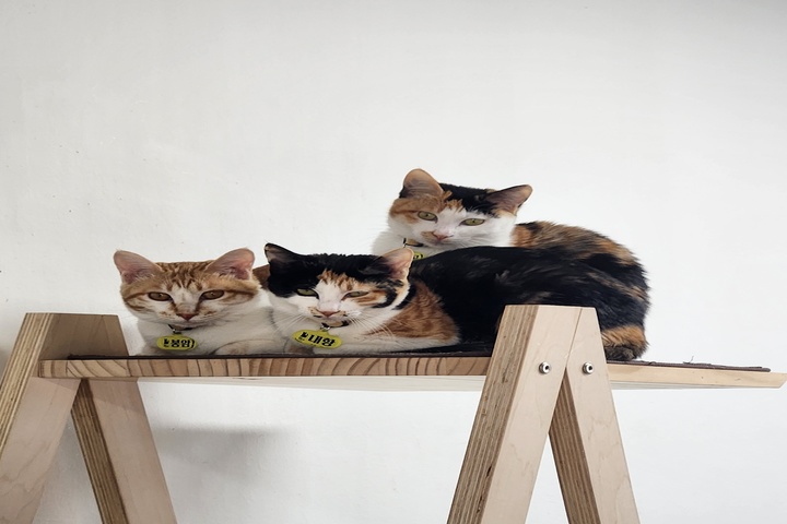 관광지이미지 9