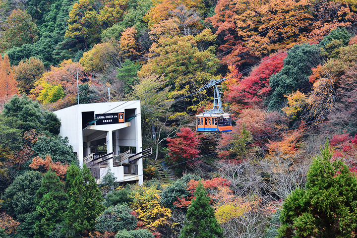 ★단 1회, 가을단풍 기간한정★[OZ품격][가을 빛으로 곱게 물든 산자락을 따라]이세/나라 4일 ▶일본에서 가장 작은 국보 오층탑 ‘무로지’