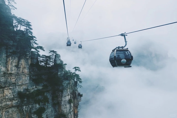 ▶Y26 新상품◀[품격][KE/비즈니스 클래스]『운무 속 비밀의 길』 장가계+무한(야경투어) 5/6일▶하워드 존슨(스위트룸)X햄튼 바이 힐튼 [5大 VIP 패스]