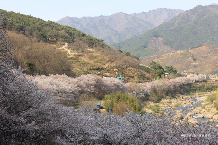 관광지이미지 4