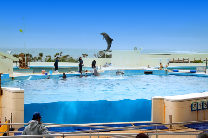 관광지이미지 8