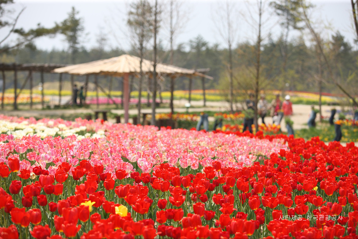 관광지이미지 4