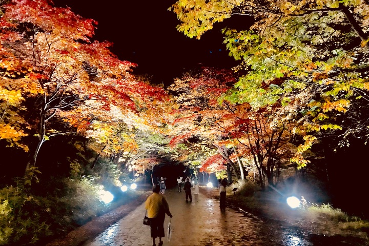 관광지이미지 10