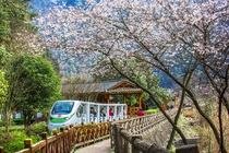 십리화랑 모노레일