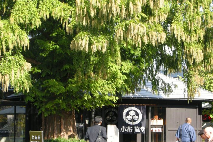 관광지이미지 8