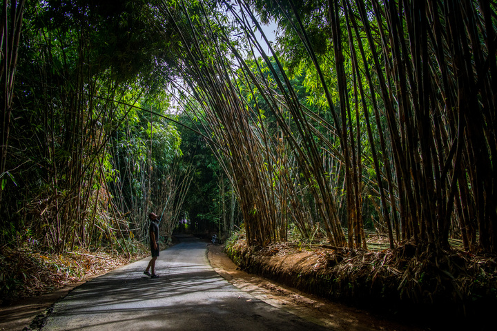 관광지이미지 6