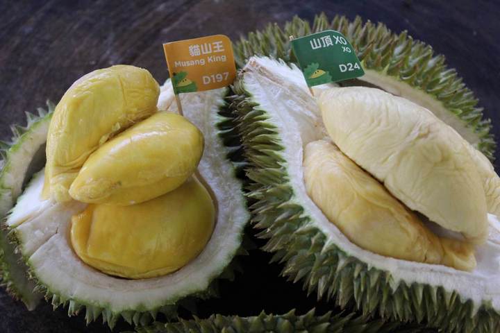 관광지이미지 18