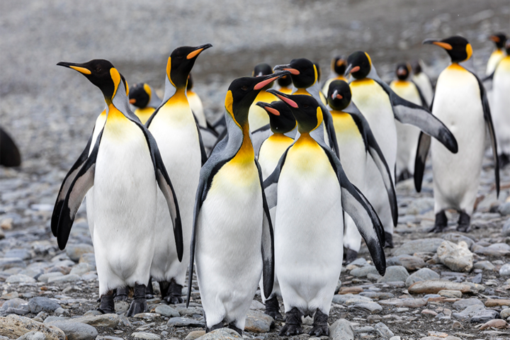 관광지이미지 14