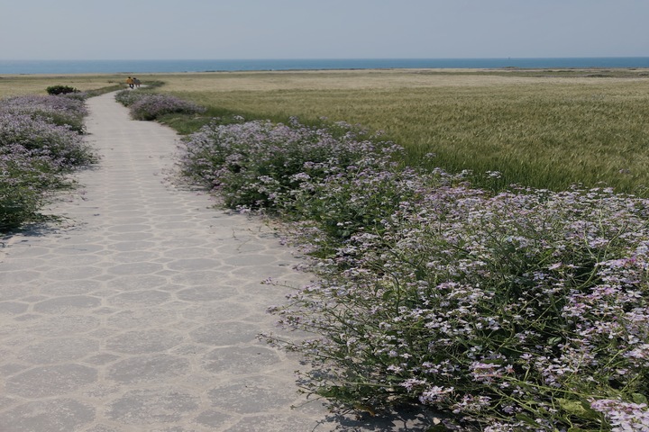 관광지이미지 17