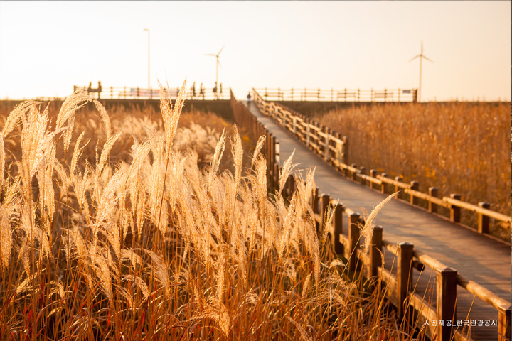 관광지이미지 1