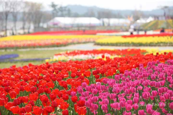 관광지이미지 2