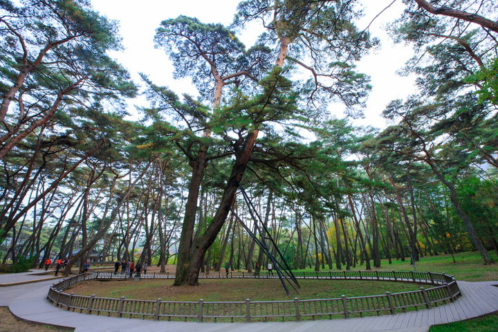 관광지이미지 4