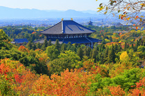 동대사