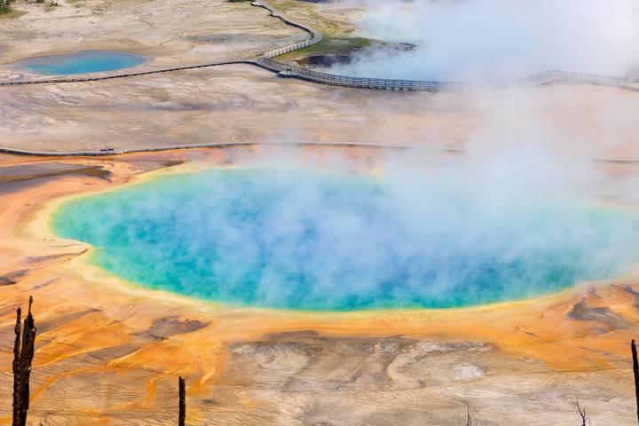 【HIGH&】【비즈니스/발코니】【대자연이 허락한 시간】 옐로스톤+알래스카 크루즈 14일(시애틀/글레이셔베이국립공원/스캐그웨이/주노)(프린세스 & AS)