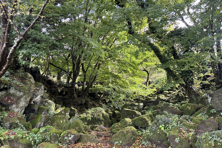 관광지이미지 7