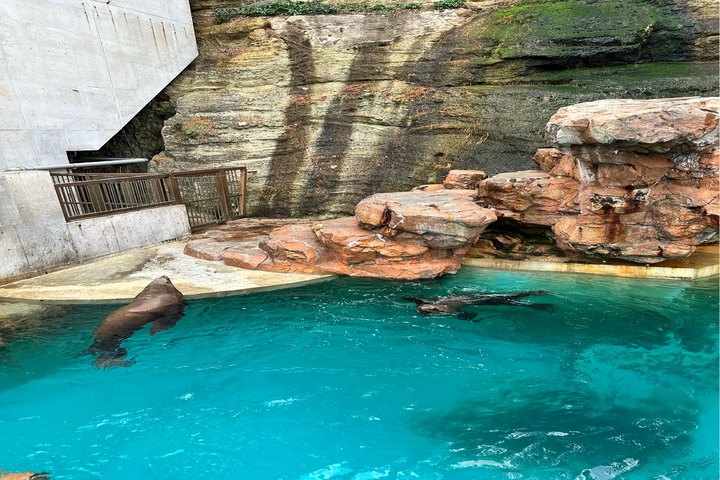 관광지이미지 5