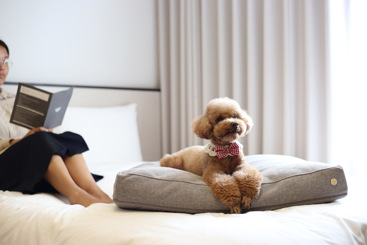 관광지이미지 18