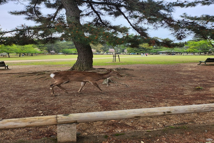 관광지이미지 5