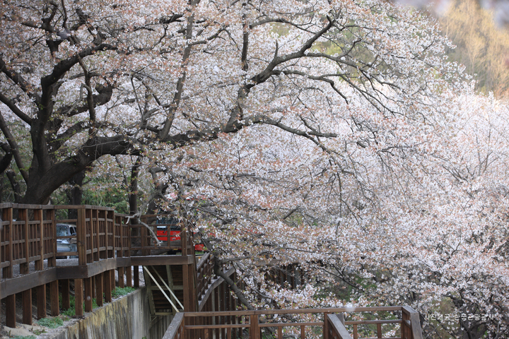 관광지이미지 2