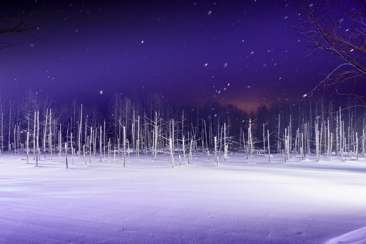 관광지이미지 13