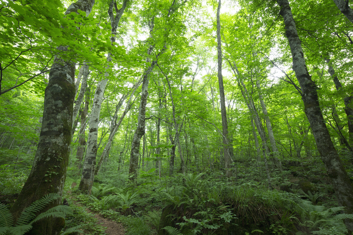 관광지이미지 4